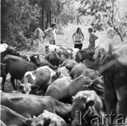 Lata 60. lub 70., Czorsztyn, Polska.
Międzynarodowy Zjazd Młodzieży.
Fot. Irena Jarosińska, zbiory Ośrodka KARTA
