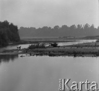 1977, Wiązowna, Polska
Rozlewisko rzeki.
Fot. Irena Jarosińska, zbiory Ośrodka KARTA