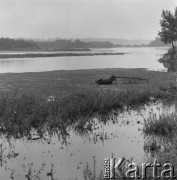 1977, Wiązowna, Polska
Rozlewisko rzeki.
Fot. Irena Jarosińska, zbiory Ośrodka KARTA