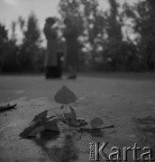 Wrzesień 1978, Laski, Polska.
Niewidomi.
Fot. Irena Jarosińska, zbiory Ośrodka KARTA