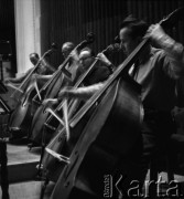 Lata 60. lub 70., Polska.
Koncert w filharmonii. Muzycy grający na kontrabasach.
Fot. Irena Jarosińska, zbiory Ośrodka KARTA