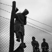 Lata 50. lub 60., Sopot, Polska.
Plaża.
Fot. Irena Jarosińska, zbiory Ośrodka KARTA