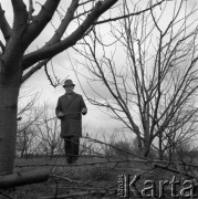 1974, Polska.
Sadownik profesor Szczepan Pieniążek.
Fot. Irena Jarosińska, zbiory Ośrodka KARTA 
