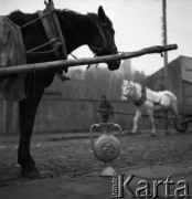 1965, Iłża, Polska.
Twórczość garncarza i rzeźbiarza ludowego.
Fot. Irena Jarosińska, zbiory Ośrodka KARTA