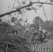 1977, Anielin, Polska.
Uroczystości przy tzw. Szańcu Hubala, miejscu, gdzie o w 1940 r. zginął major Henryk Dobrzański 