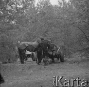 1977, Anielin, Polska.
Wóz przy tzw. Szańcu Hubala, miejscu, gdzie o w 1940 r. zginął major Henryk Dobrzański 