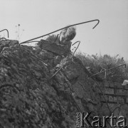 Lata 60., Oświęcim, Polska.
Akcja pokuty.
Fot. Irena Jarosińska, zbiory Ośrodka KARTA