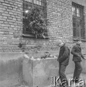 Lata 60., Oświęcim, Polska.
Uroczystości rocznicowe w byłym obozie koncentracyjnym.
Fot. Irena Jarosińska, zbiory Ośrodka KARTA