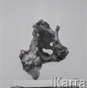 Czerwiec 1963, Warszawa, Polska.
Wernisaż wystawy rzeźb tureckiej artystki Lerzan Bengisu w Galerii Krzywe Koło.
Fot. Irena Jarosińska, zbiory Ośrodka KARTA