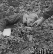 Lata 70., Pieskowa Skała, Ojcowski Park Narodowy, Polska.
Botanicy w okolicach Pieskowej Skały.
Fot. Irena Jarosińska, zbiory Ośrodka KARTA