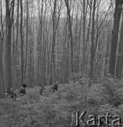 Lata 70., Pieskowa Skała, Ojcowski Park Narodowy, Polska.
Botanicy w okolicach Pieskowej Skały.
Fot. Irena Jarosińska, zbiory Ośrodka KARTA