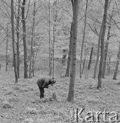 Lata 70., Pieskowa Skała, Ojcowski Park Narodowy, Polska.
Botanik w okolicach Pieskowej Skały fotografuje rośliny.
Fot. Irena Jarosińska, zbiory Ośrodka KARTA