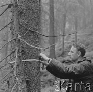 1971, Tatry, Polska.
Botanicy w Tatrach.
Fot. Irena Jarosińska, zbiory Ośrodka KARTA