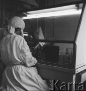 1958, Warszawa, Polska.
Pracownia wirusologiczna Państwowego Zakładu Higieny, miejsce wytwarzania szczepionki na polio (choroba Heinego-Medina).
Fot. Irena Jarosińska, zbiory Ośrodka KARTA