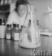 1958, Warszawa, Polska.
Pracownia wirusologiczna Państwowego Zakładu Higieny, miejsce wytwarzania szczepionki na polio (choroba Heinego-Medina).
Fot. Irena Jarosińska, zbiory Ośrodka KARTA