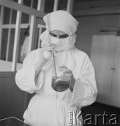1958, Warszawa, Polska.
Pracownia wirusologiczna Państwowego Zakładu Higieny, miejsce wytwarzania szczepionki na polio (choroba Heinego-Medina).
Fot. Irena Jarosińska, zbiory Ośrodka KARTA
