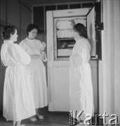 1958, Warszawa, Polska.
Pracownia wirusologiczna Państwowego Zakładu Higieny, miejsce wytwarzania szczepionki na polio (choroba Heinego-Medina).
Fot. Irena Jarosińska, zbiory Ośrodka KARTA