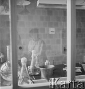 1958, Warszawa, Polska.
Pracownia wirusologiczna Państwowego Zakładu Higieny, miejsce wytwarzania szczepionki na polio (choroba Heinego-Medina).
Fot. Irena Jarosińska, zbiory Ośrodka KARTA