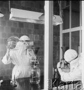 1958, Warszawa, Polska.
Pracownia wirusologiczna Państwowego Zakładu Higieny, miejsce wytwarzania szczepionki na polio (choroba Heinego-Medina).
Fot. Irena Jarosińska, zbiory Ośrodka KARTA