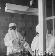 1958, Warszawa, Polska.
Pracownia wirusologiczna Państwowego Zakładu Higieny, miejsce wytwarzania szczepionki na polio (choroba Heinego-Medina).
Fot. Irena Jarosińska, zbiory Ośrodka KARTA