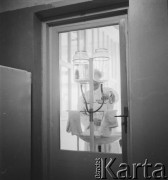 1958, Warszawa, Polska.
Pracownia wirusologiczna Państwowego Zakładu Higieny, miejsce wytwarzania szczepionki na polio (choroba Heinego-Medina).
Fot. Irena Jarosińska, zbiory Ośrodka KARTA
