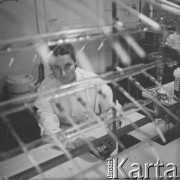 Lata 60.-70., Gdańsk, Polska.
Instytut Medycyny Morskiej w Gdańsku. Nz. badania laboratoryjne.
Fot. Irena Jarosińska, zbiory Ośrodka KARTA