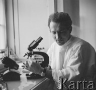 Lata 60.-70., Gdańsk, Polska.
Instytut Medycyny Morskiej w Gdańsku. Nz. badania laboratoryjne.
Fot. Irena Jarosińska, zbiory Ośrodka KARTA