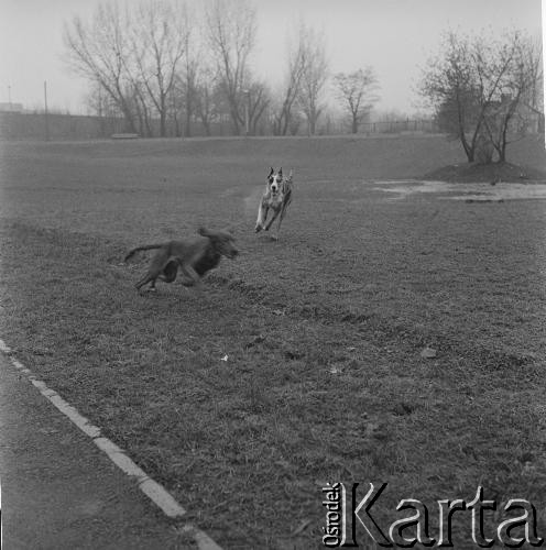 Lata 60.-70., Warszawa, Polska.
Wybrzeże Gdańskie.
Fot. Irena Jarosińska, zbiory Ośrodka KARTA