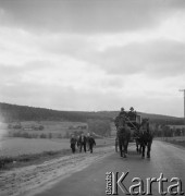 1958, Polska.
Z okazji 400 rocznicy założenia Poczty Polskiej, trasą Kielce-Wrocław przejechał zabytkowy dyliżans pocztowy. Nz. zaprzęg pocztowy.
Fot. Irena Jarosińska, zbiory Ośrodka KARTA