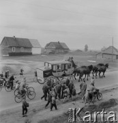 1958, Polska.
Z okazji 400 rocznicy założenia Poczty Polskiej, trasą Kielce-Wrocław przejechał zabytkowy dyliżans pocztowy. Nz. zaprzęg pocztowy.
Fot. Irena Jarosińska, zbiory Ośrodka KARTA