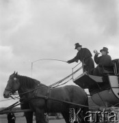 1958, Polska.
Z okazji 400 rocznicy założenia Poczty Polskiej, trasą Kielce-Wrocław przejechał zabytkowy dyliżans pocztowy. Nz. zaprzęg pocztowy.
Fot. Irena Jarosińska, zbiory Ośrodka KARTA