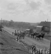1958, Polska.
Z okazji 400 rocznicy założenia Poczty Polskiej, trasą Kielce-Wrocław przejechał zabytkowy dyliżans pocztowy. Nz. zaprzęg pocztowy.
Fot. Irena Jarosińska, zbiory Ośrodka KARTA