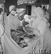 1957, Zakopane, Polska.
Resekcja tkanki płucnej u pacjenta chorego na gruźlicę.
Fot. Irena Jarosińska, zbiory Ośrodka KARTA