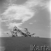 Brak daty, Polska. 
Oryginalny podpis fotografki: 