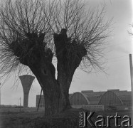 Lata 60., Sandomierz, Polska.
Huta szkła 