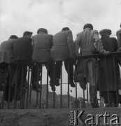 1950-1956, Warszawa, Polska
Wyścig Pokoju - warszawiacy obserwują rywalizację na trasie W-Z
Fot. Irena Jarosińska, zbiory Ośrodka KARTA