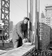 marzec 1952, Warszawa, Polska
Marszałkowska Dzielnica Mieszkaniowa (MDM) - murarka przodownica na placu budowy. 
Fot. Irena Jarosińska, zbiory Ośrodka KARTA