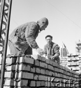 marzec 1952, Warszawa, Polska
Marszałkowska Dzielnica Mieszkaniowa (MDM)- murarze na placu budowy. 
Fot. Irena Jarosińska, zbiory Ośrodka KARTA