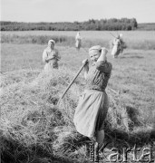 1952, Wilkowice, Polska
Sianokosy.
Fot. Irena Jarosińska, zbiory Ośrodka KARTA