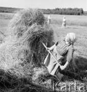 1952, Wilkowice, Polska
Sianokosy.
Fot. Irena Jarosińska, zbiory Ośrodka KARTA