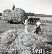 lata 50-te, Wilkowice, Polska
Kobiety w czasie sianokosów.
Fot. Irena Jarosińska, zbiory Ośrodka KARTA