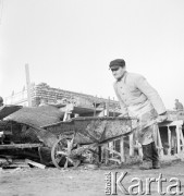 1951-1953, Warszawa, Polska
Marszałkowska Dzielnica Mieszkaniowa - robotnik z taczką.
Fot. Irena Jarosińska, zbiory Ośrodka KARTA