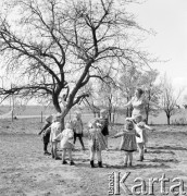 1953, Kokoszkowy, Polska
Rolniczy Zespół Spółdzielni 