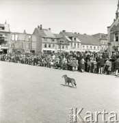 1.05.1954, Starogard Gdański, Polska
Mieszkańcy miasta na rynku starogardzkim w oczekiwaniu na pochód pierwszomajowy
Fot. Irena Jarosińska, zbiory Ośrodka KARTA