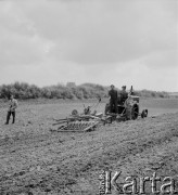 1953, Kokoszkowy, Polska
Rolniczy Zespół Spółdzielni 