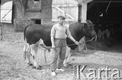 lata 50., Kokoszkowy (Rolnicza Spółdzielnia Produkcyjna Zdobycz Chłopska), Polska
Oborowy
Fot. Irena Jarosińska, zbiory Ośrodka KARTA