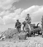 lata 50-te, Nieczajna, Polska
Ładowanie kartofli na sadzeniak
Fot. Irena Jarosińska, zbiory Ośrodka KARTA