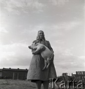 lata 50-te, Nieczajna, Polska
Chlewmistrzyni
Fot. Irena Jarosińska, zbiory Ośrodka KARTA