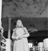 lata 50-te, Nieczajna, Polska
Chlewistrzyni z rolniczej spółdzielni produkcyjnej
Fot. Irena Jarosińska, zbiory Ośrodka KARTA