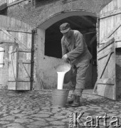 lata 50., Kokoszkowy (Rolnicza Spółdzielnia Produkcyjna Zdobycz Chłopska), Polska
Oborowy
Fot. Irena Jarosińska, zbiory Ośrodka KARTA